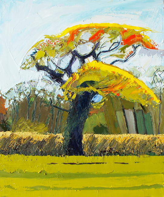 Spring Oak