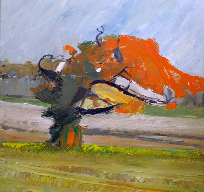 Orange Tree