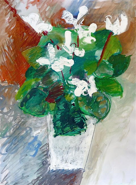 'White Cyclamen'