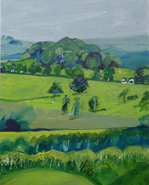 'Tortoise Hill' Derbyshire