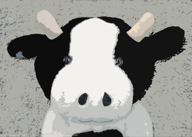 Moo