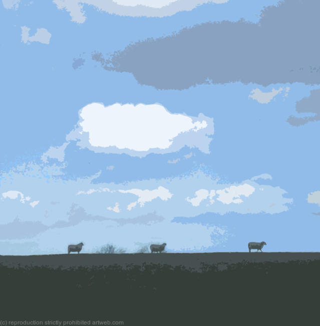 Three Sheep