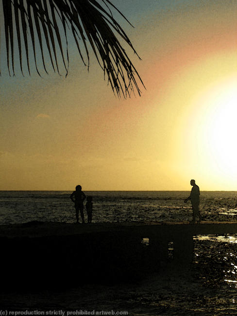 Palm Sunset