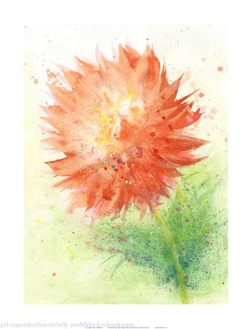 Orange Splash