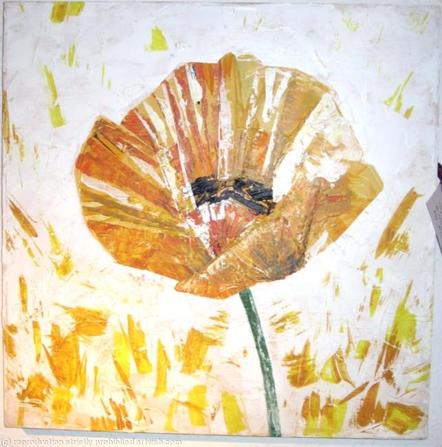 Yellow Poppy