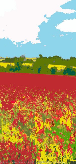 Red Meadow 2