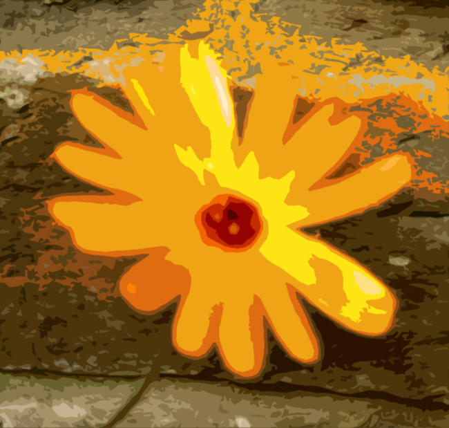 Marigold