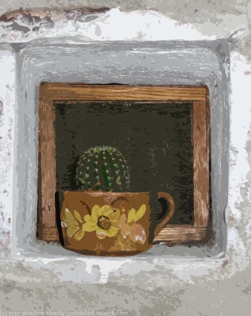 Cactus on a windowsill