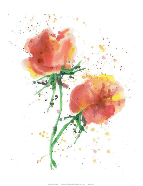 Rose and Lemon Splash