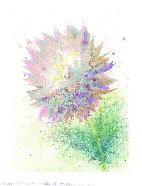 Pastel Splash