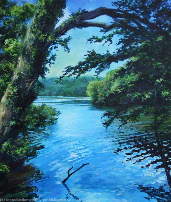Etang de Villecartier Brittany