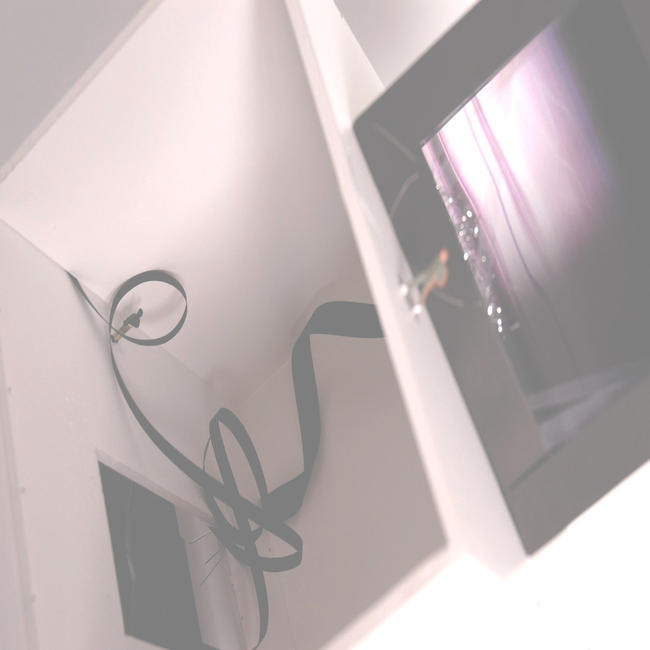 tayloredbox15