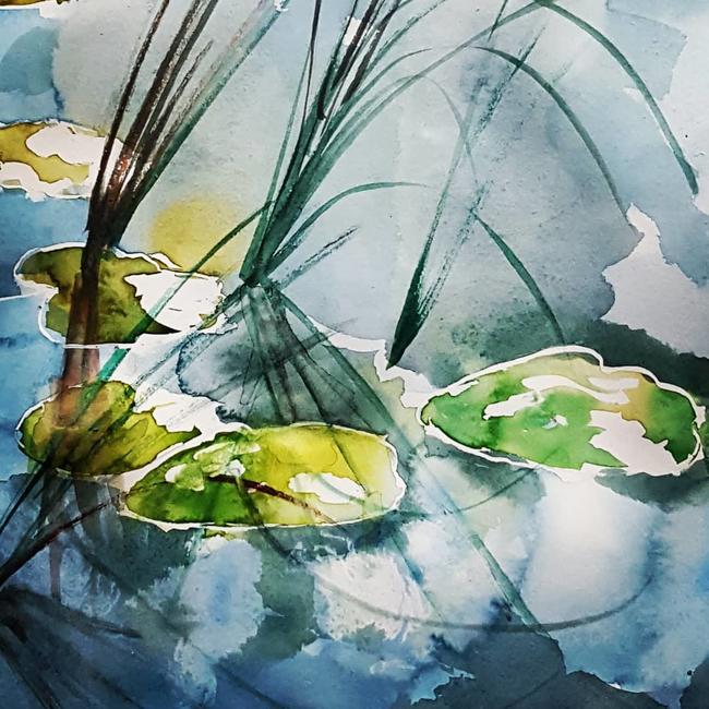 Lily pad reflection