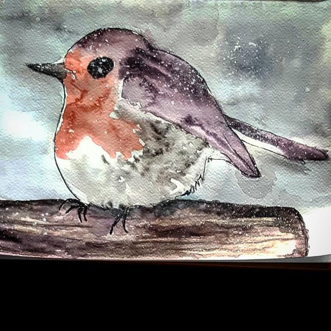Robin