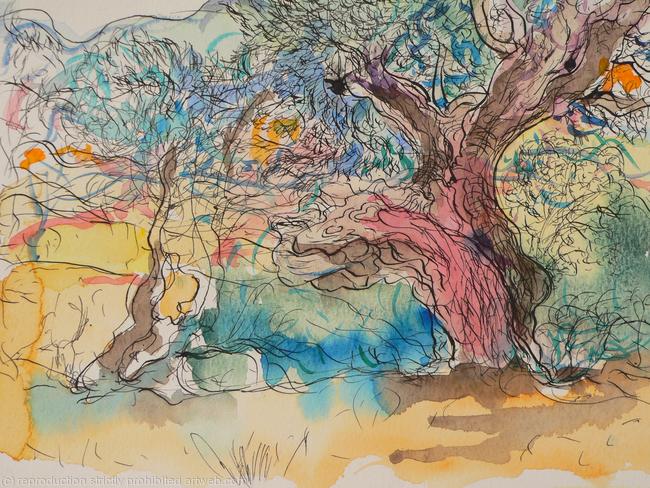 Olive tree