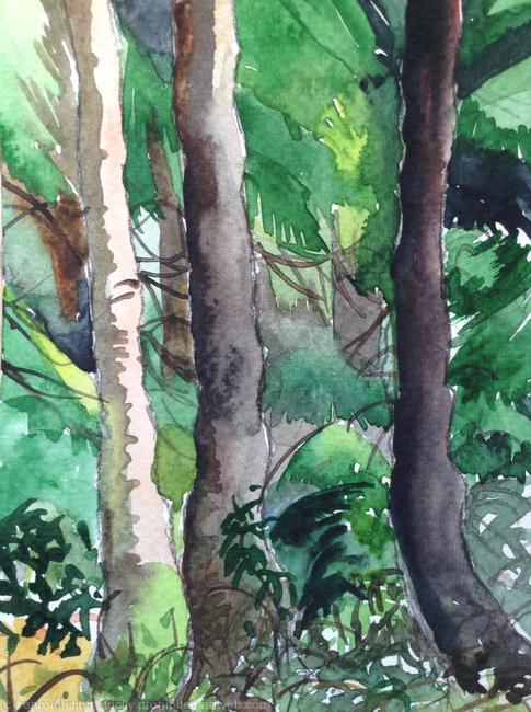 Stansted woods 5