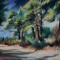 Wood in Skopelos