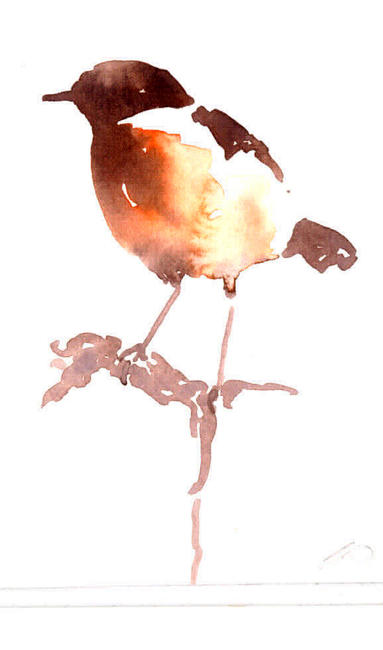 Stone Chat study 1