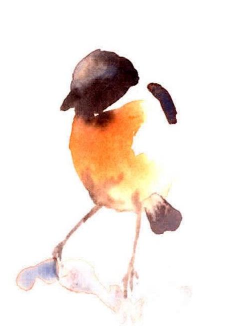 Stone Chat Study 2