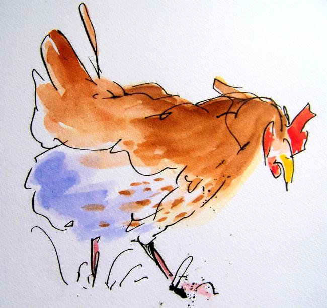 Hen Study