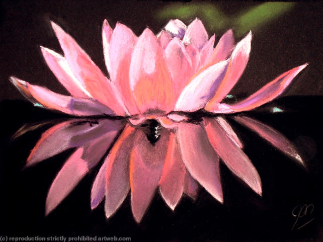 Beauty Reflected