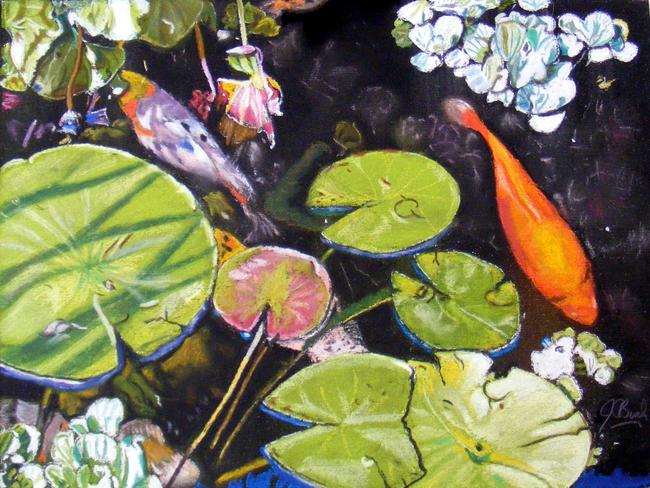 Koi