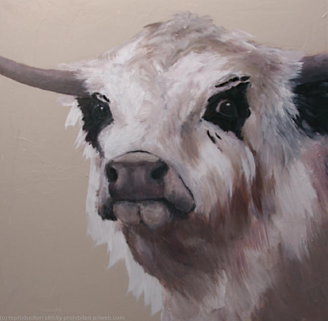 American British White - For Sale