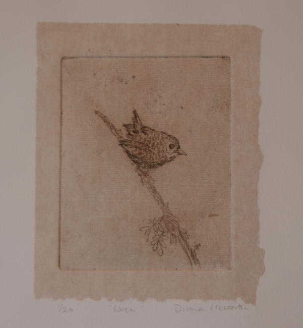 Wren