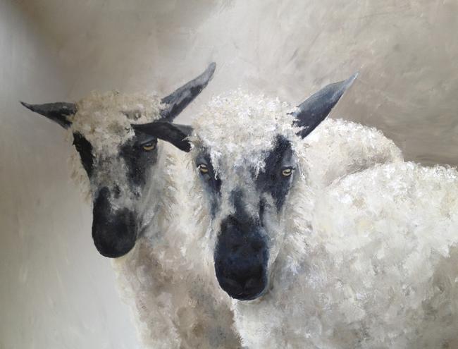 Zwartbles - For Sale