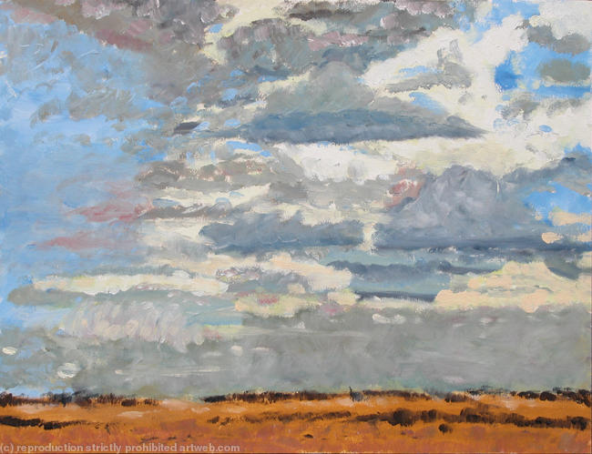 Under a Texan Sky
