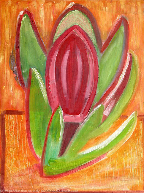 Protea