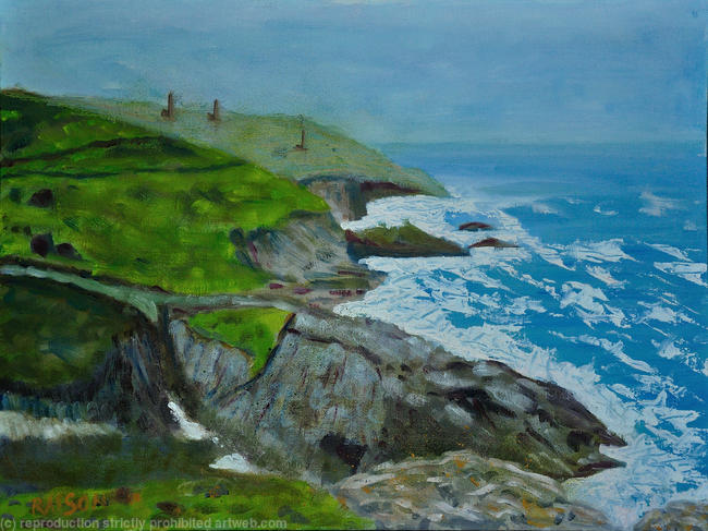 Pendeen coast