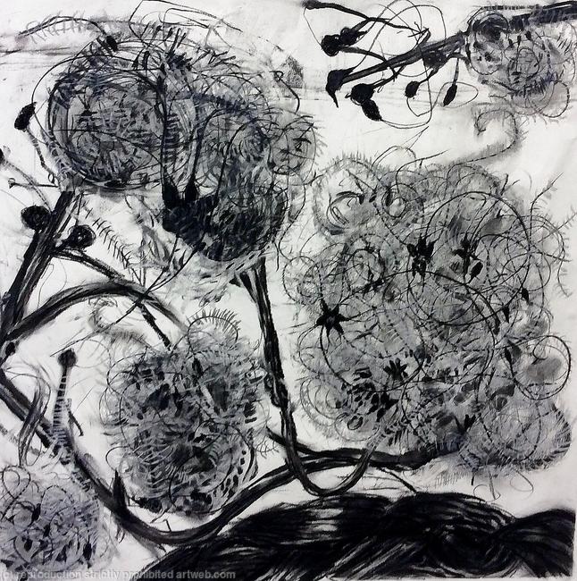 Milkweed study (Winter cycle) - Drawing 2