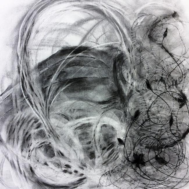 Milkweed study (Winter cycle) - Drawing 10