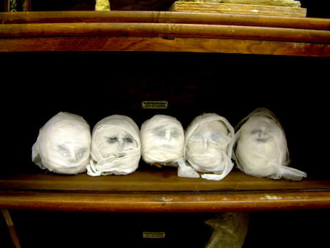 Cabinet of Curiosities - Heads on Shelf