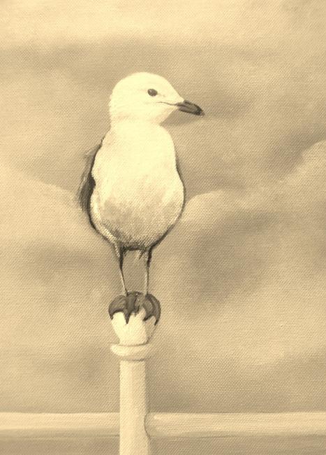 detail of a seagull from monsieur freds-vacation