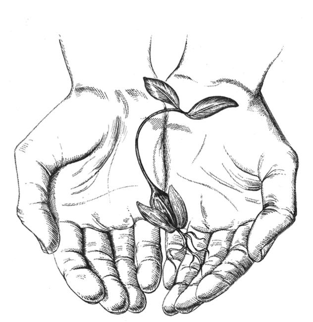 hands