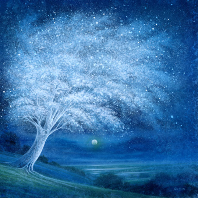 Stars and Blossom