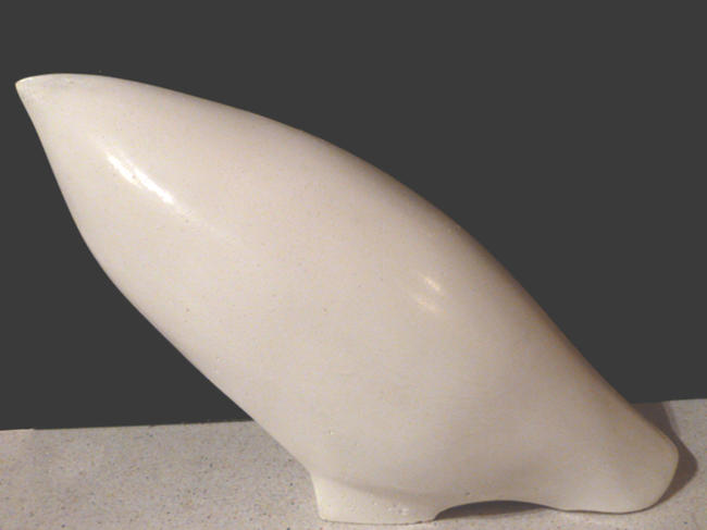 White Sodova bird