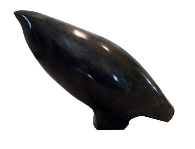 Sodova Bird