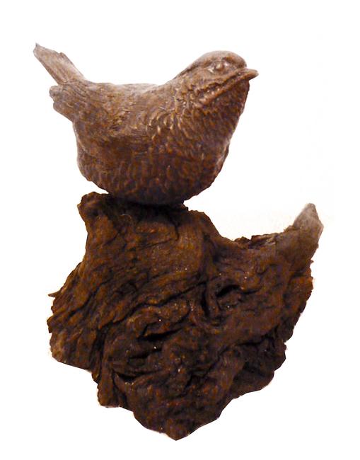 Song bird on tree root