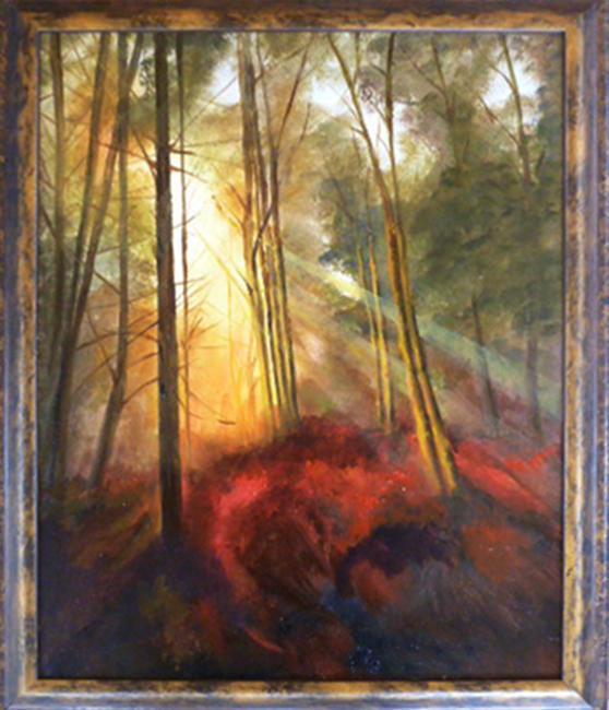 Sunrise in the Woods