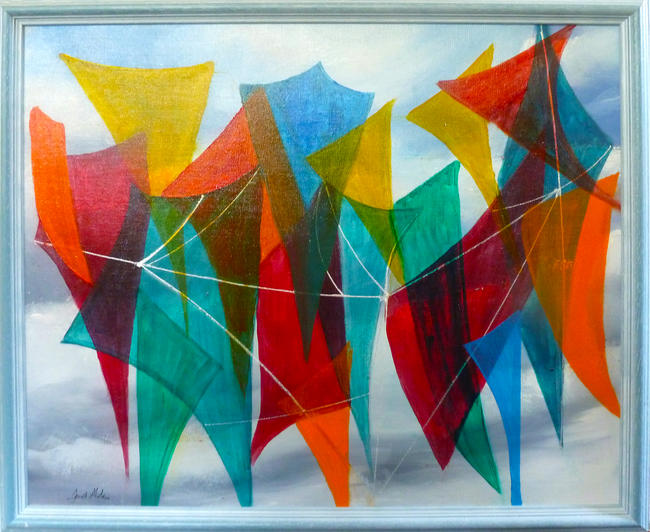 Wild Kite Fight