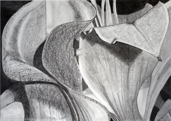 1st drawing 1st bouquet