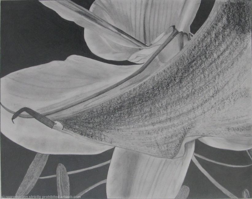 1st Drawing 2nd Bouquet