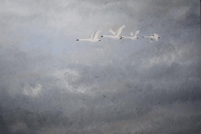 Wild Swans