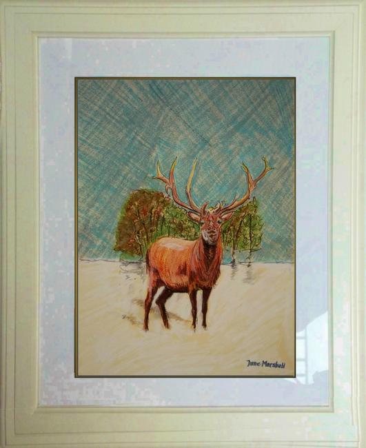 LONELY DEER