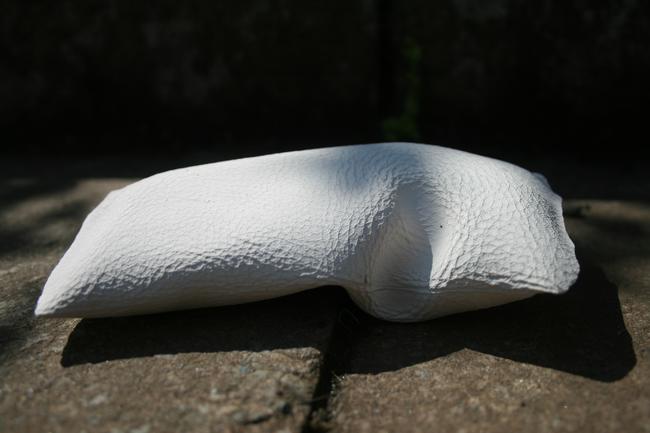 Leather Cast Skin