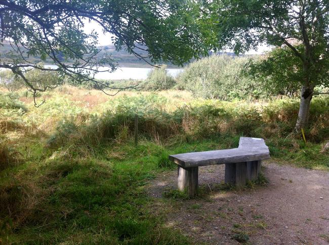 Taynish Piggery Bench