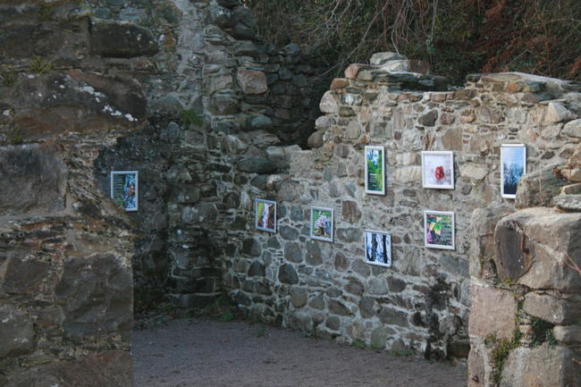 Walls